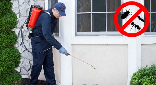 Çorum Hamam Böceği İlaçlama böcek ilaçlama ve haşere kontrolü — ilaclama-tr.com